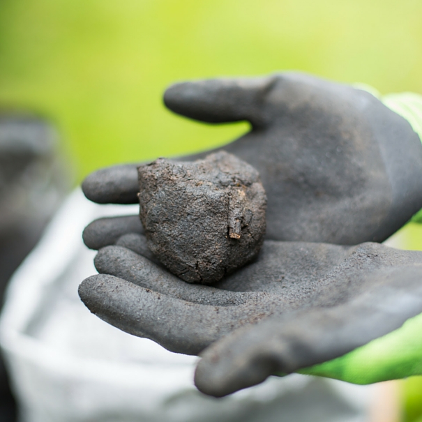 Innovative approaches to long-term soil carbon: the Biochar Humus Composite